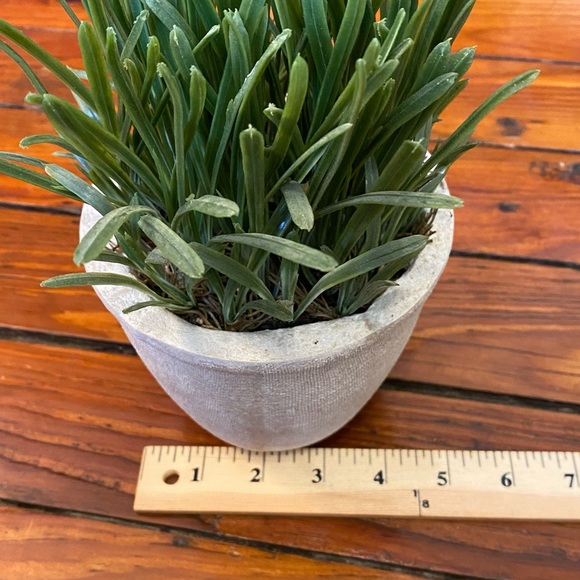 Realistic Fake Plant Green Grass Plant Mini Potted Artificial Plant in Pot - Picture 5 of 8